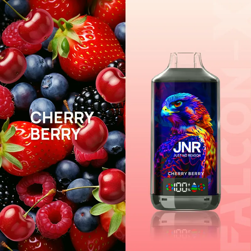 17-Cherry-Berry JNR Falcon X 18000 Puffs Disposable Vape JNR Falcon-X 18000 Cherry Berry 本体画像