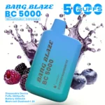 Bang Blaze BC5000 E Cigarette Vape – Blueberry Raspberry Ice