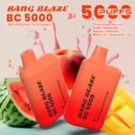 Bang Blaze BC5000 E Cigarette Vape – Peach Mango Watermelon