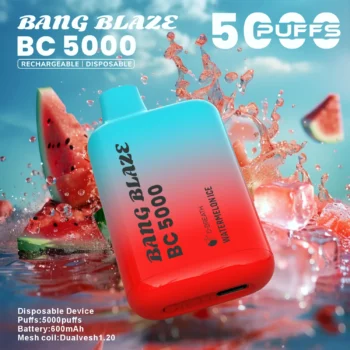 BANG Blaze BC5000 ウォーターメロンアイス味 vape スターター キット 5000パフ 使い捨てVAPE