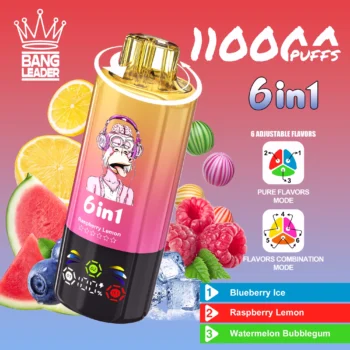 Bang Leader 110K – Blueberry Ice & Raspberry Lemon & Watermelon Bubblegum