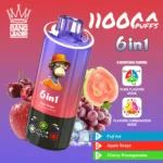 Bang Leader 110K – Fuji Ice & Apple Grape & Cherry Pomegranate