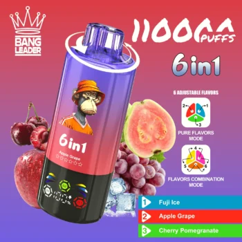 Bang Leader 110K – Fuji Ice & Apple Grape & Cherry Pomegranate