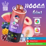 Bang Leader 110K – Grape Ice & Mango Peach & Blueberry Watermelon
