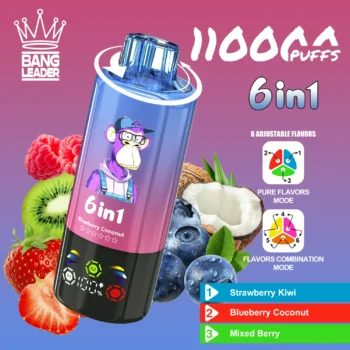 Bang Leader 110K – Strawberry Kiwi & Blueberry Coconut & Mixed Berry