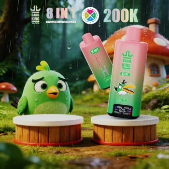 Bang king 300000 300k Puffs Bang 300k 8 in 1 Flavors New Vape