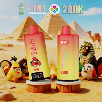 Bang king 300000 300k Puffs Bang 300k 8 in 1 Flavors New Vape