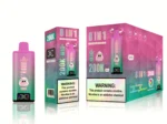 Bang king 300000 300k Puffs Bang 300k 8 in 1 Flavors New Vape – Cool MintPeach CherryPeach Berry LemonKiwi Watermelon Ice