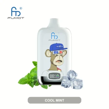 Fumot RandM Digital Box 12000 Cool Mint - 使い捨てVAPE製品画像 | vapes