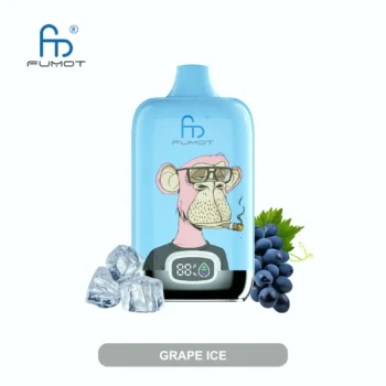 Fumot RandM Digital Box 12000 – Grape Ice - 使い捨てVAPE製品画像 | vapes