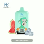 Fumot RandM Digital Box 12000 – Watermelon Ice - 使い捨てVAPE製品画像 | vapes