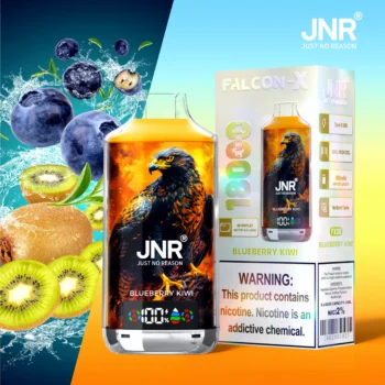 JNR Falcon-X 18000 Blueberry Kiwi 本体画像