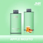 JNR Mega box 25000 – APPLE MOJITO (2)