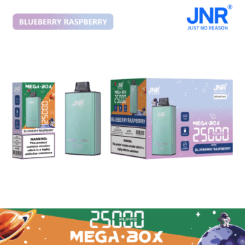 JNR Mega Box 25000 Blueberry Raspberry - JNR Mega Box 25000 Blueberry Raspberry