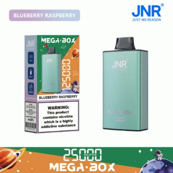JNR Mega Box 25000 Blueberry Raspberry - JNR Mega Box 25000 Blueberry Raspberry