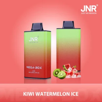 JNR Mega Box 25000 Kiwi Watermelon Ice - JNR Mega Box 25000 Kiwi Watermelon Ice