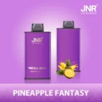 JNR Mega box 25000 – PINEAPPLE FANTASY