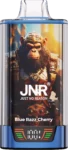 JNR Rage Grilla 55000 – Blue Razz Cherry
