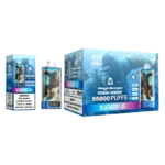 JNR Rage Grilla 55000 – Blueberry Ice