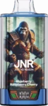 JNR Rage Grilla 55000 – Blueberry Raspberry Cherry