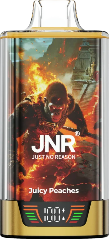 JNR Rage Grilla 55000 Juicy Peaches - JNR Rage Grilla 55000 Juicy Peaches