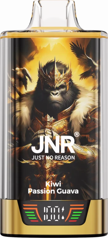 JNR Rage Grilla 55000 Kiwi Passion Guava - JNR Rage Grilla 55000 Kiwi Passion Guava