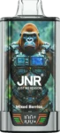 JNR Rage Grilla 55000 – Mixed Berries