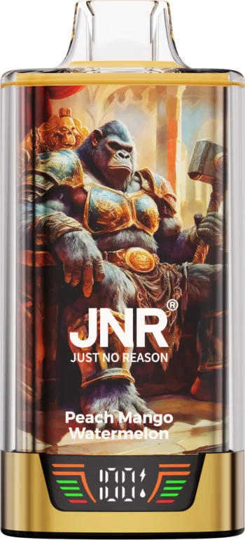 JNR Rage Grilla 55000 Peach Mango Watermelon - JNR Rage Grilla 55000 Peach Mango Watermelon