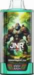 JNR Rage Grilla 55000 – Kiwi Watermelon Ice