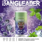 Puff 20k Bang Leader 20000-blueberry-mint-.jpg