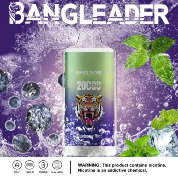 Puff 20k Bang Leader 20000-blueberry-mint