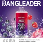 Puff 20k Bang Leader 20000-blueberry-raspberry