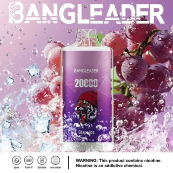 Puff 20k Bang Leader 20000-grape-ice