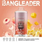 Puff 20k Bang Leader 20000-mango-peach