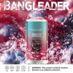 Puff 20k Bang Leader 20000-mix-fruit