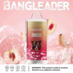 Puff 20k Bang Leader 20000-peach-ice