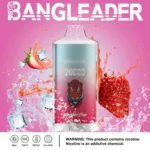 Puff 20k Bang Leader 20000-strawberry-ice