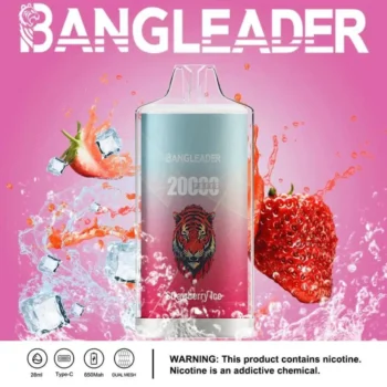 Puff 20k Bang Leader 20000-strawberry-ice