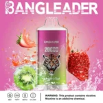 Puff 20k Bang Leader 20000-strawberry-kiwi-.jpg