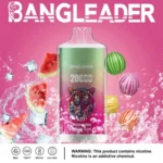 Puff 20k Bang Leader 20000-watermelon-bubble-gum