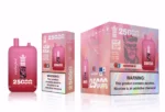 Puff 25k Bang King 25000 Puffs – Watermelon Ice