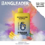 Puff 32k Bang Leader 32K Vape – Banana Ice & Blueberry Cherry