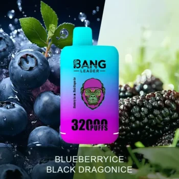 Puff 32k Bang Leader 32K Vape – Blueberry Ice & Black Dragon Ice