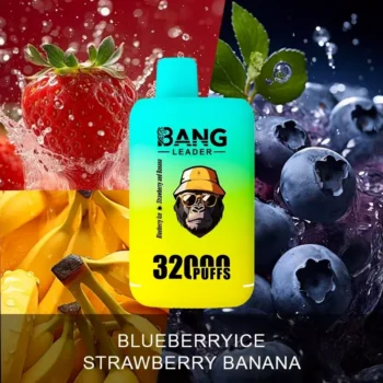 Puff 32k Bang Leader 32K Vape – Blueberry Ice & Strawberry Banana