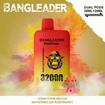Puff 32k Bang Leader 32K Vape – Honeydew Melon & Watermelon Raspberry
