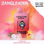 Puff 32k Bang Leader 32K Vape – Lychee Ice & Mango Peach Pineapple
