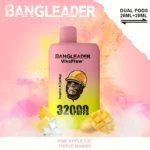 Puff 32k Bang Leader 32K Vape – Pineapple Ice & Triple Mango