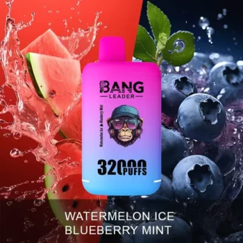 Puff 32k Bang Leader 32K Vape – Watermelon Ice & Blueberry Mint