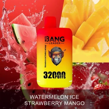 Puff 32k Bang Leader 32K Vape – Watermelon Ice & Strawberry Mango