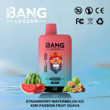 Puff 45k Bang Leader 45000-strawberry-watermelon-kiwi-passion-fruit-guava